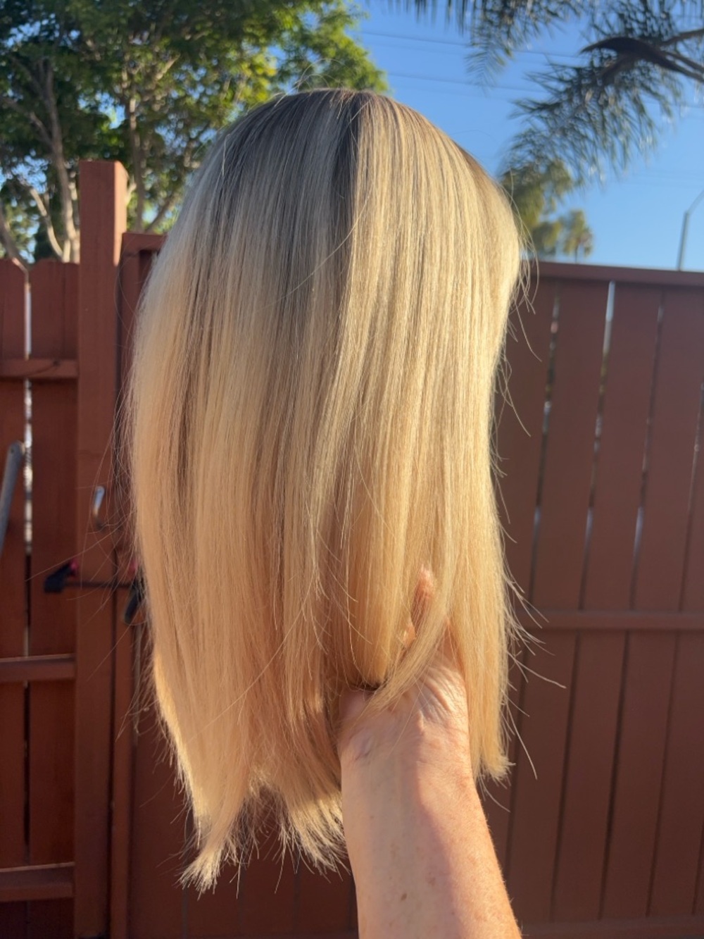 Bijoux Blonde wig human hair lace top 17” long with bangs